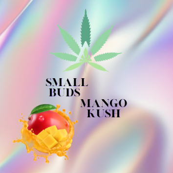 Smallbuds de Mango Kush Indoor